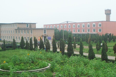 免费观看B站刺激战场2023