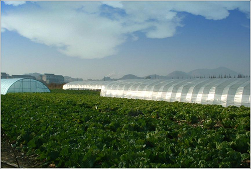 免费观看B站刺激战场2023