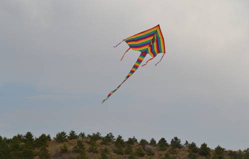 免费观看B站刺激战场2023