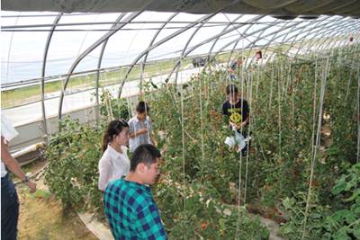 免费观看B站刺激战场2023