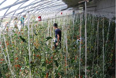 免费观看B站刺激战场2023