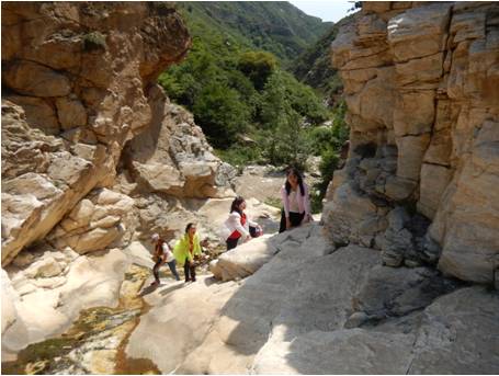 免费观看B站刺激战场2023