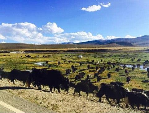 免费观看B站刺激战场2023