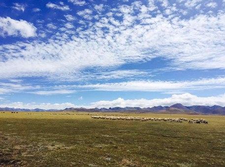 免费观看B站刺激战场2023