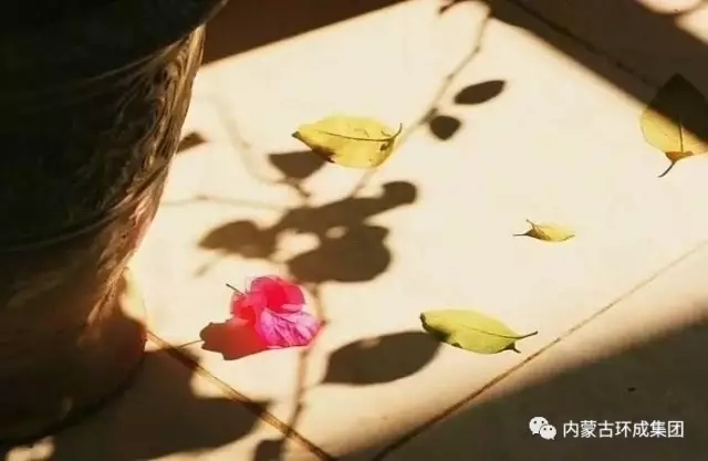 免费观看B站刺激战场2023