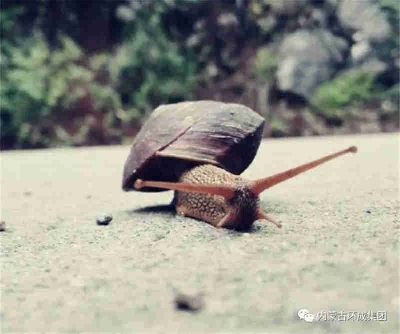 免费观看B站刺激战场2023