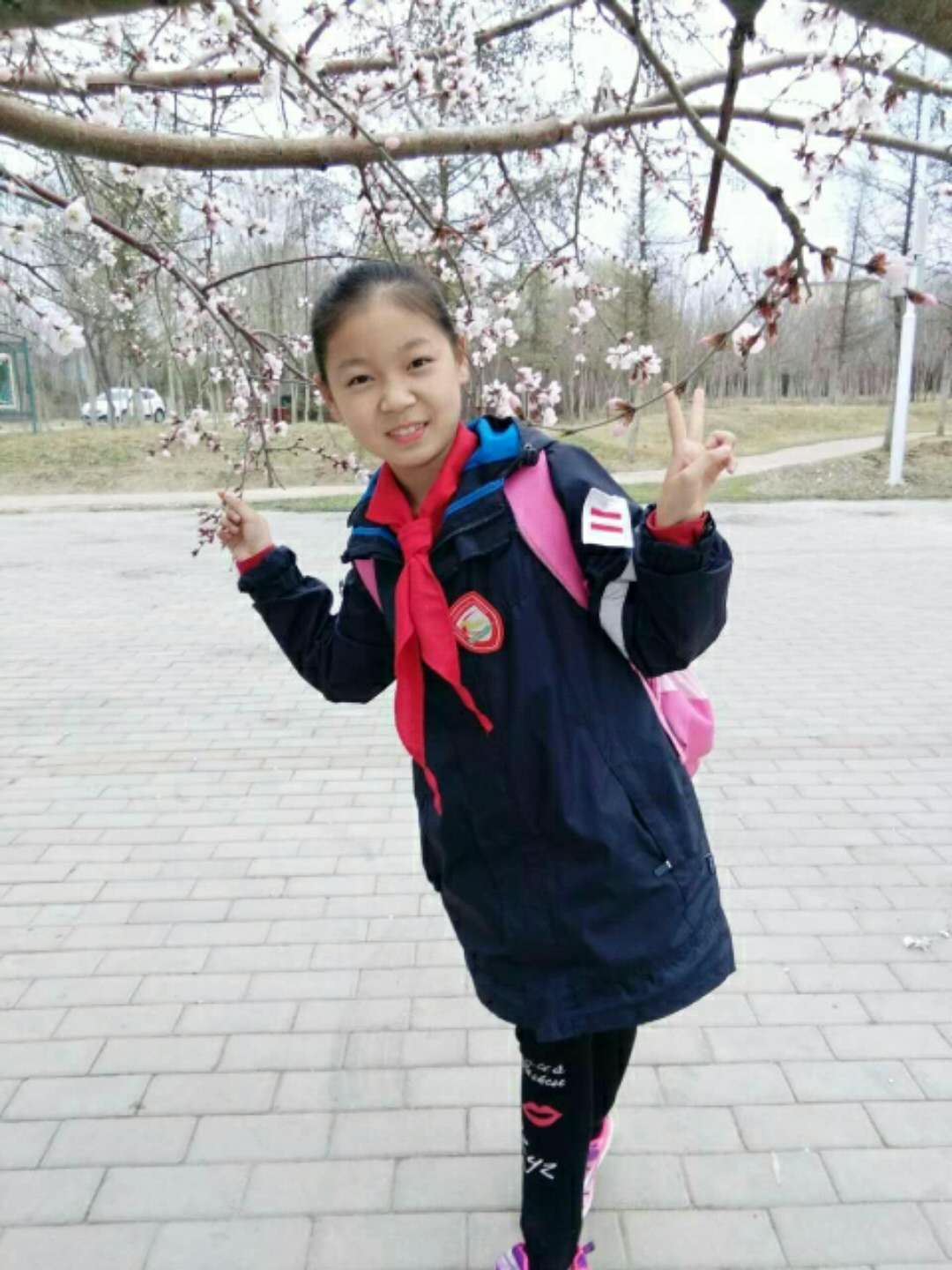 免费观看B站刺激战场2023