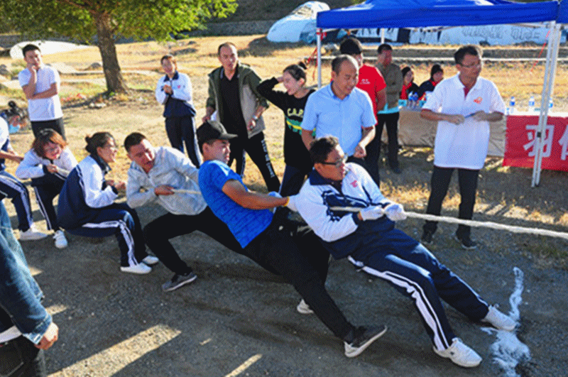 免费观看B站刺激战场2023