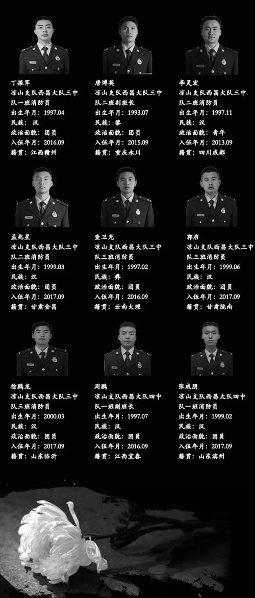 免费观看B站刺激战场2023