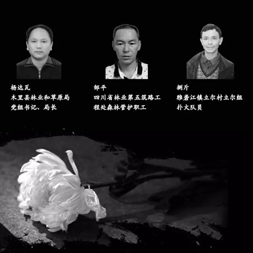 免费观看B站刺激战场2023