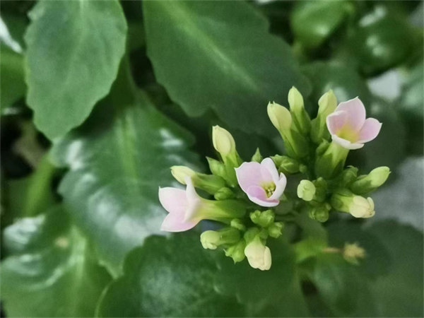 免费观看B站刺激战场2023