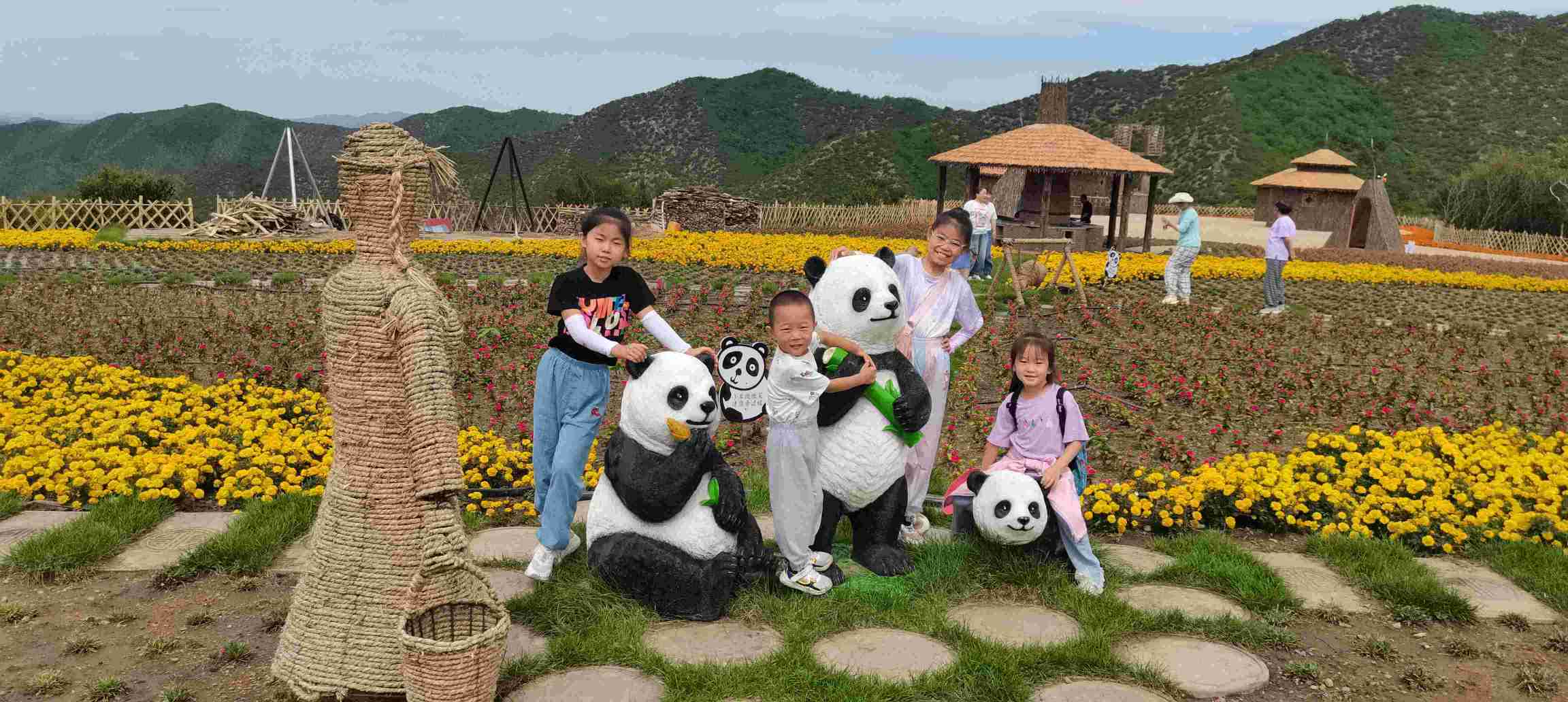 免费观看B站刺激战场2023